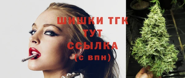 индика Майский