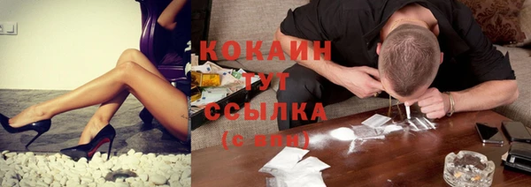 индика Майский