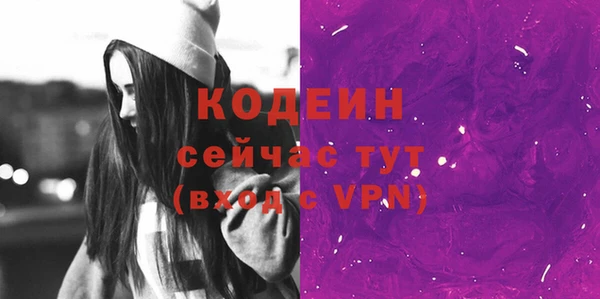 индика Майский