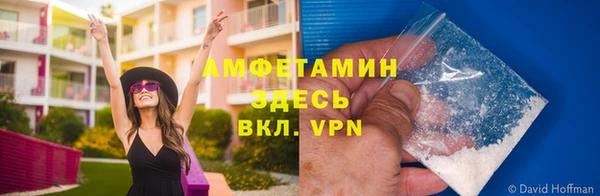 индика Майский