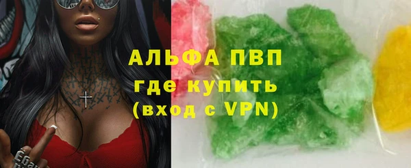 индика Майский