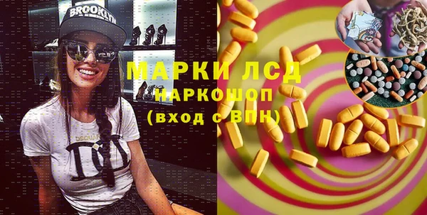 мдпв Магас