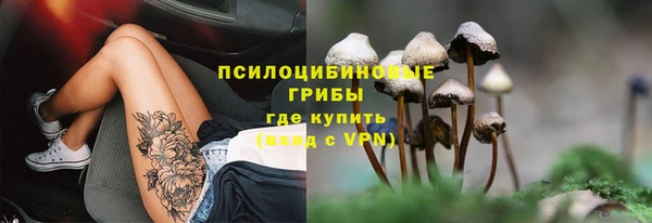 индика Майский