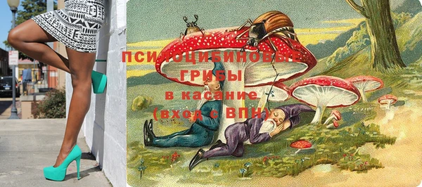 индика Майский