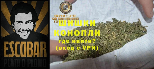 мдпв Магас