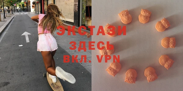 мдпв Магас