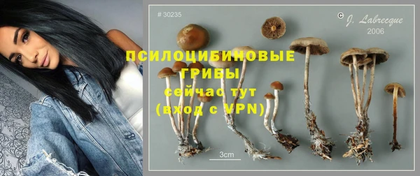 индика Майский